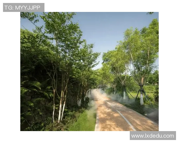 国家级“青少年户外运动公园”开园,融合科技与自然 国家级“青少年户外运动公园”开园,融合科技与自然